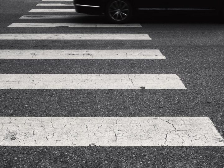 Łoś po zderzeniu z samochodem wstał i uciekł do lasu!