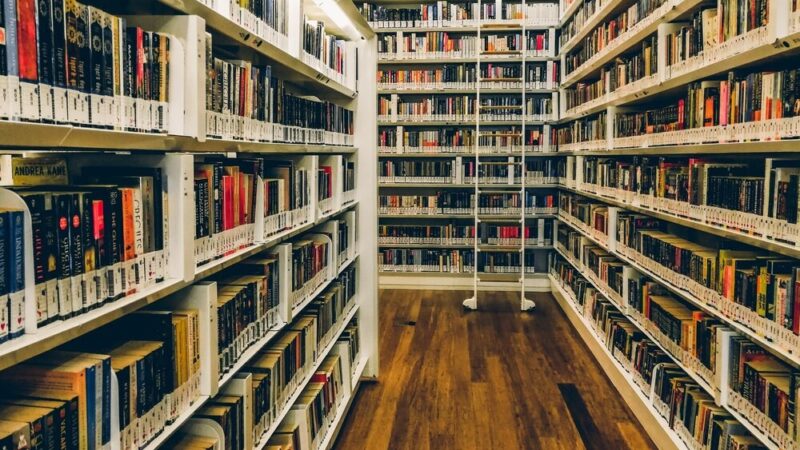 Listopad w Bibliotece: Odkryj Siłę Swojej Pasji!
