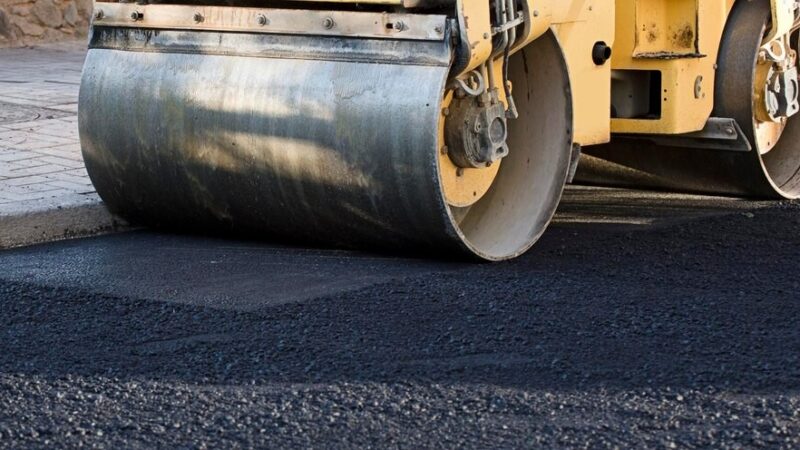 Zielone zmiany na ulicy Ptaków Leśnych: Nowe nasadzenia drzew w Jastrzębiu