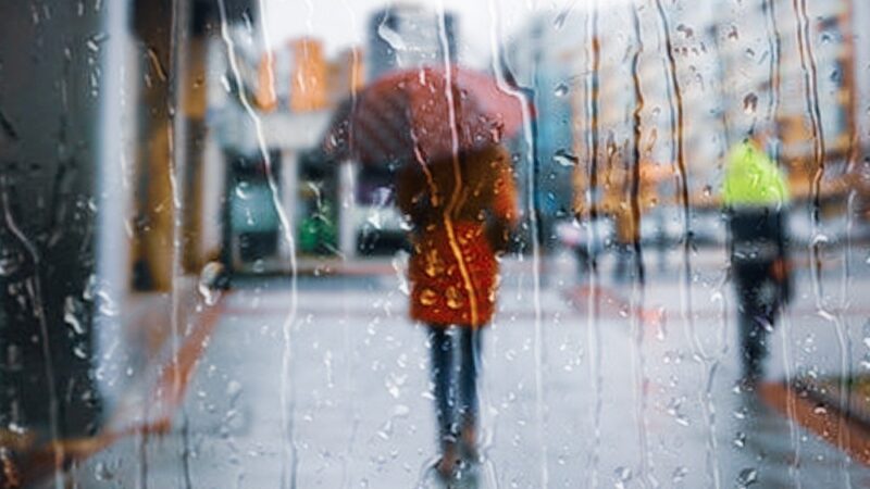 Gęste mgły zagrażają widoczności – ostrzeżenie meteorologiczne nr 79