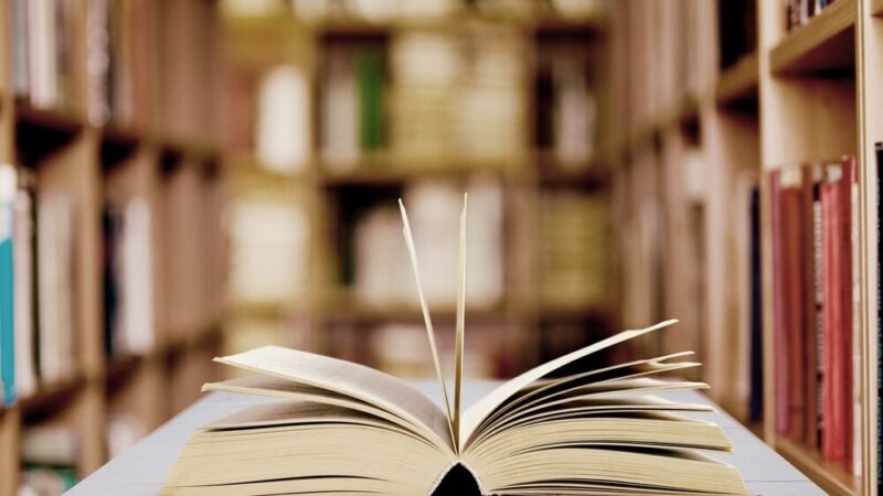 Najpopularniejsze książki 2025 w Piasecznie: odkryjcie czytelnicze hity!