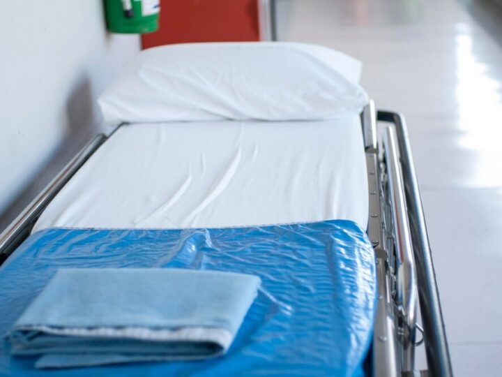 Zimowe wyzwanie dla zwierząt – pomóżmy im przetrwać mrozy!