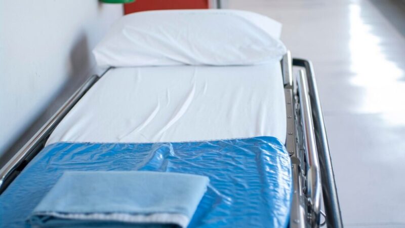 Zimowe wyzwanie dla zwierząt – pomóżmy im przetrwać mrozy!