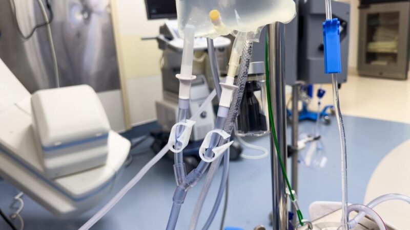 Odkryj moc kobiet w Piasecznie: zdrowie i inspiracja w sercu Mazowsza