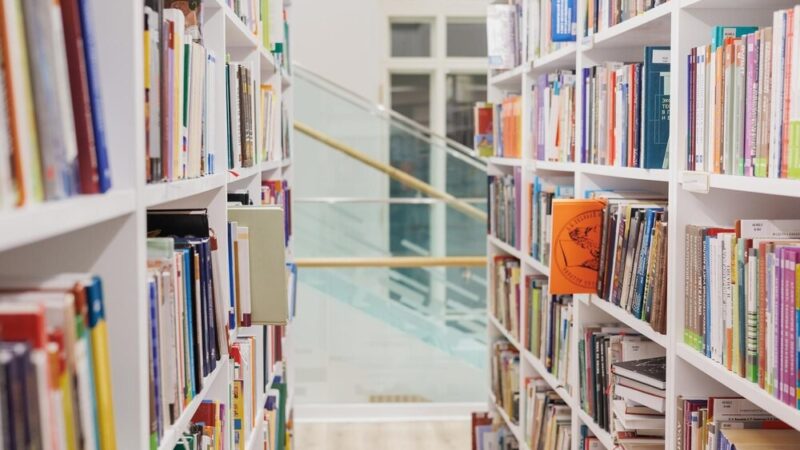 Zbieraj 100 naklejek i odkryj tajemnice biblioteki w nowej akcji!