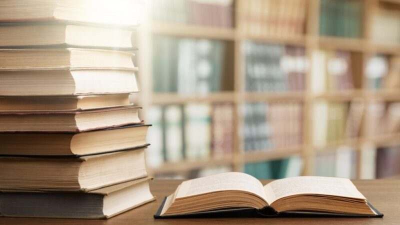 Majowe DKK: Odkrywamy tajemnice Sydonii von Bork