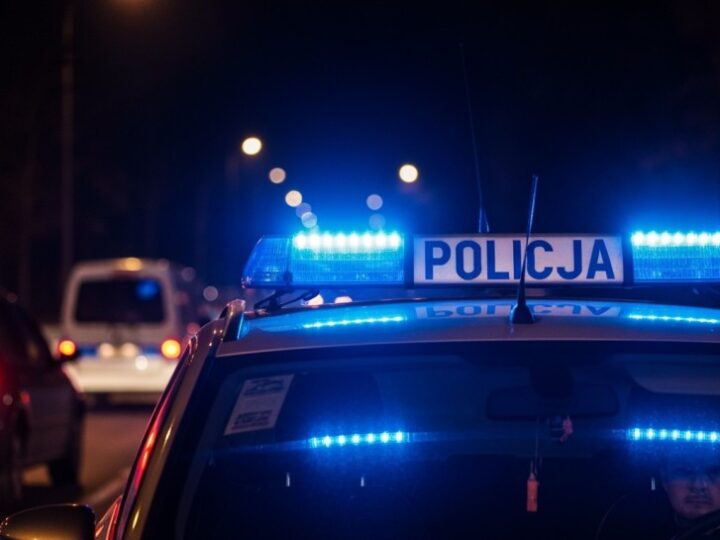 Emerytura policyjnych psów: jak wygląda życie po służbie?