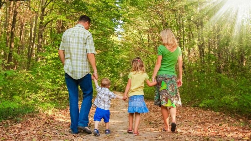 Piknik Sołecki z okazji Dnia Rodziny w Głoskowie-Letnisku 2026