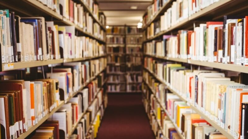 Rocznica urodzin René Goscinnego – twórcy niezapomnianych dziecięcych bohaterów