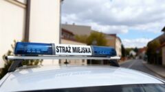 Mokre liście przy posesji. Grzywna do 1,5 tys. zł