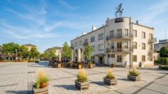 Ustanów: warsztaty o ptakach, karmnikach i budkach lęgowych